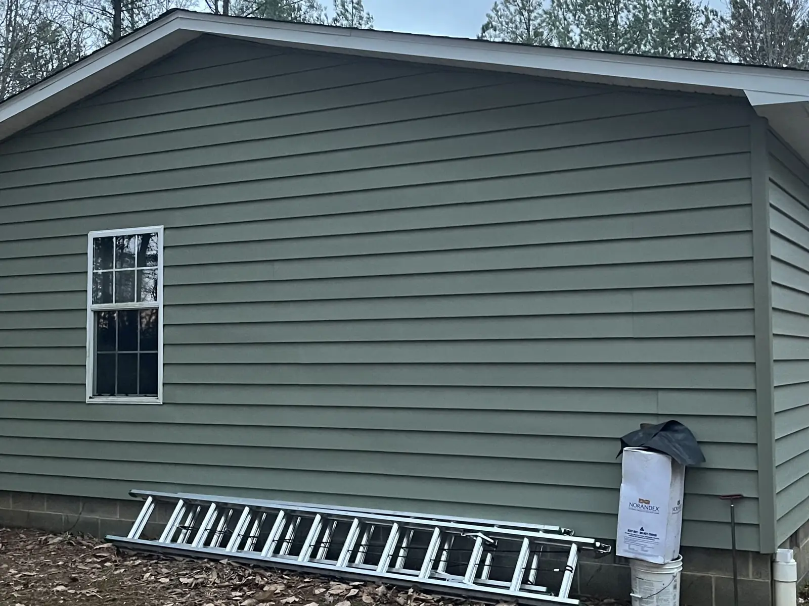 Green lap siding on a house, with a ladder against the wall