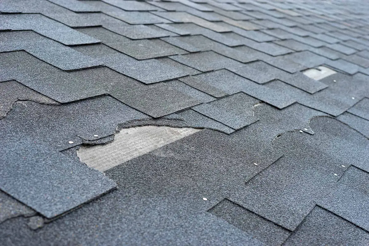 A shingle roof with a missing tab exposing the layer below