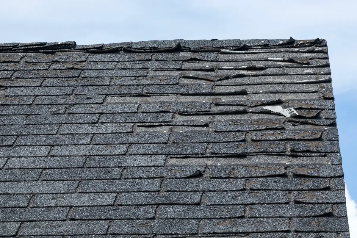 Old dark shingles with torn and lifted tabs